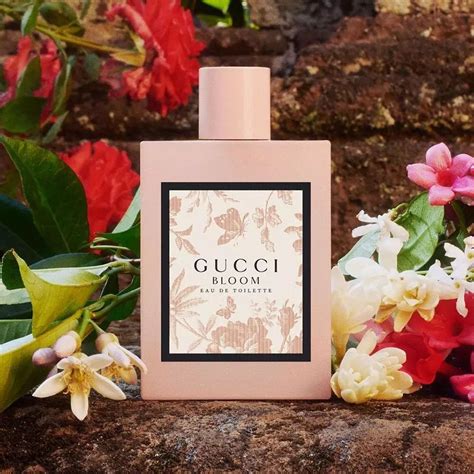 gucci bloom a que huele|gucci perfume 2017.